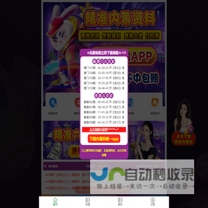 耐斯克集团